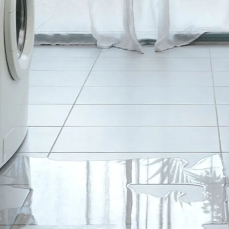 Appliance Leak Cleanup in Wilson, OK