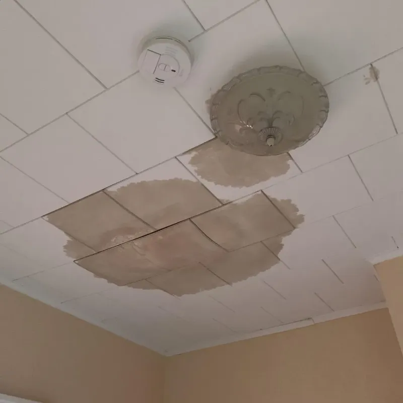 Ceiling Water Damage Repair in Wilson, OK