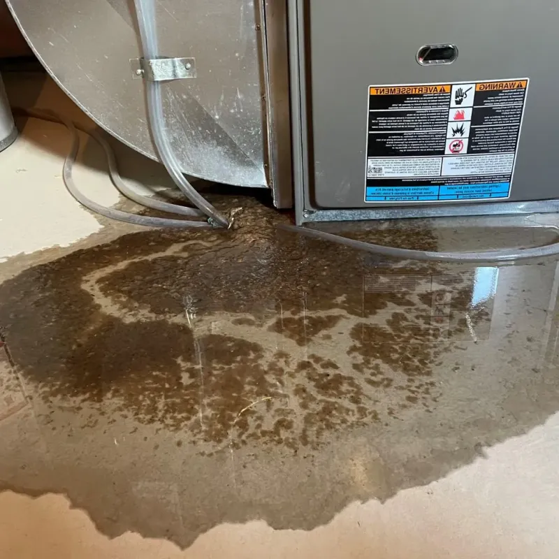 Pipe Burst and Leak Restoration in Wilson, OK