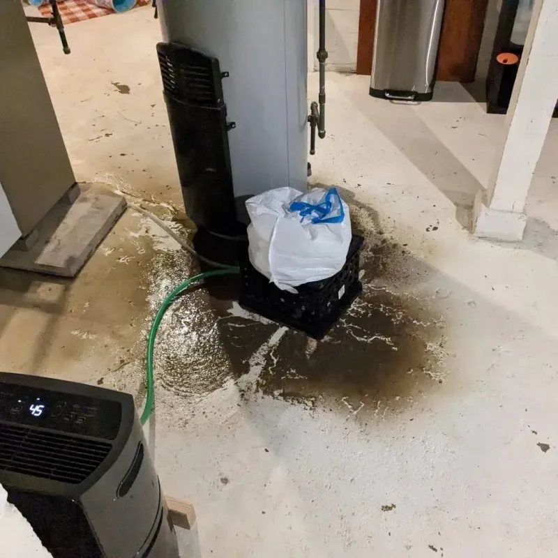 Sewage Backup Cleanup Service in Wilson, OK